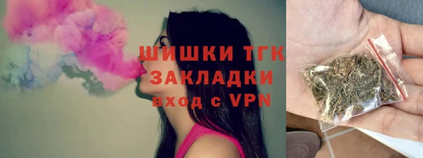 мет Дмитров